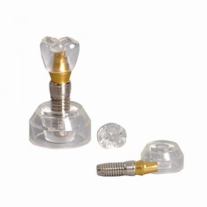 Model studiu -Implant